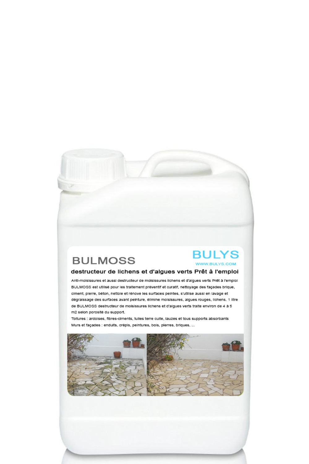 Anti mousse Démoussant façade toitures prêt à l'emploi BULMOSS, BULYS Anti mousse Démoussant façade toitures prêt à l'emploi BULMOSS, BULYS