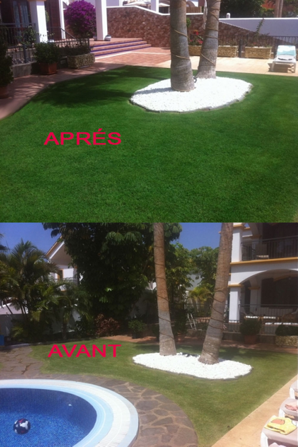 Peinture Herbe Naturelle Synthétique Peinture Écologique EdenColor Pour Gazon - Vert Pelouse 1 Litre - Reverdir Herbe Naturelle Ou Synthétique Peinture Bois Exterieur